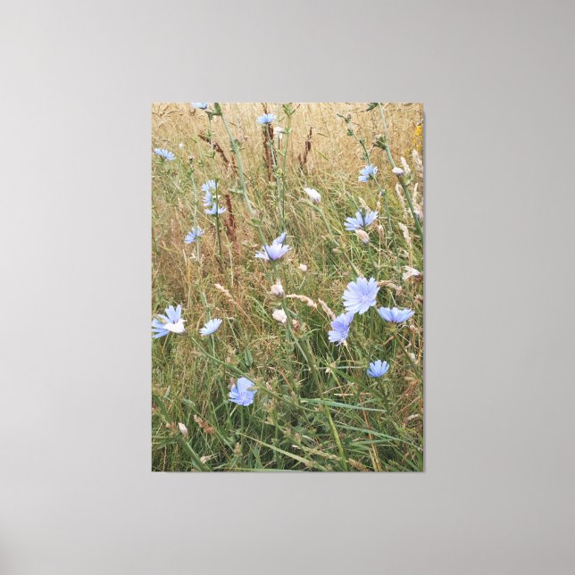 Chicory Leinwanddruck (Vorderseite)