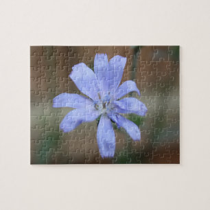 Chicory Puzzle
