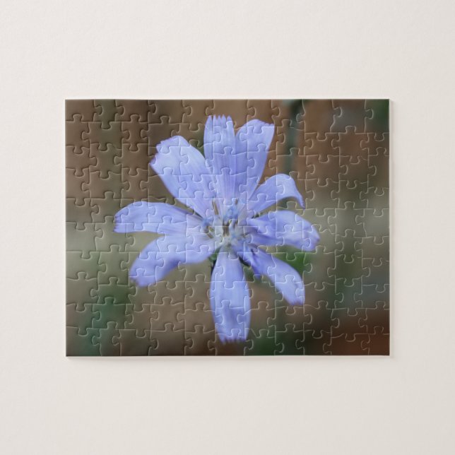 Chicory Puzzle (Horizontal)
