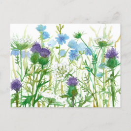 Chicory Thistle Queen Annes Lace Wildblumen Postkarte