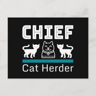 Chief Cat Herder Funny Postkarte