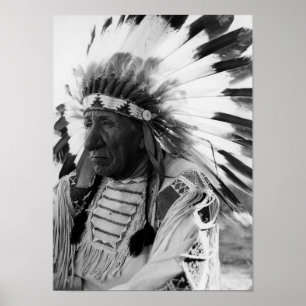 Chief Red Cloud Poster