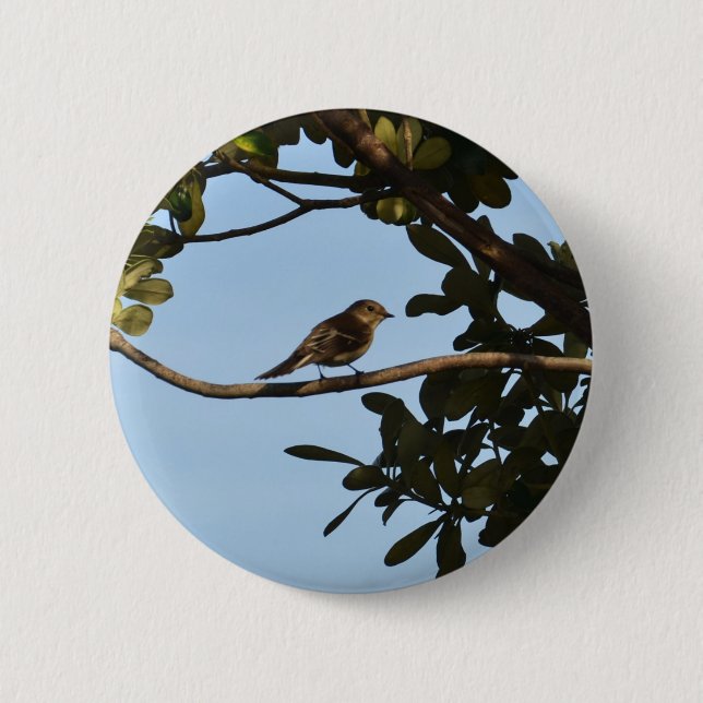 Chiffchaff Button (Vorderseite)