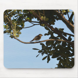 Chiffchaff Mousepad