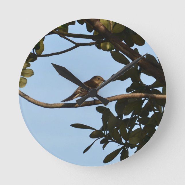 Chiffchaff Runde Wanduhr (Vorderseite)
