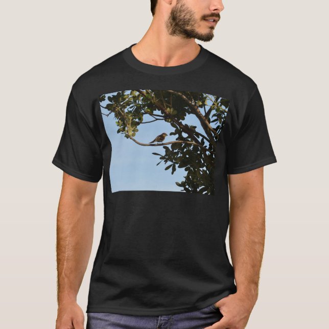 Chiffchaff T-Shirt (Vorderseite)