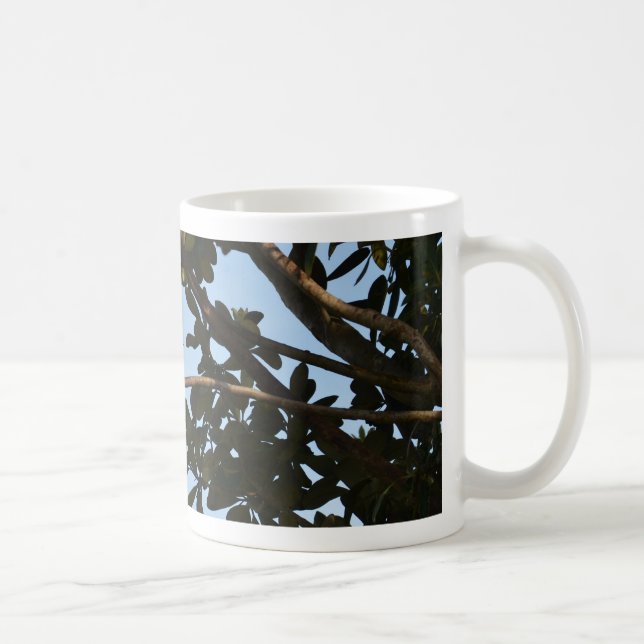 Chiffchaff Tasse (Rechts)