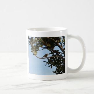 Chiffchaff Tasse