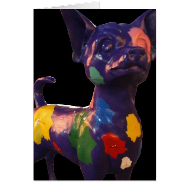 Chihuahua (Vorne)