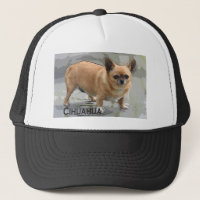 Chihuahua チワワчихуахуаצ'יוואווה