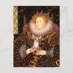 Chihuahua 1 - Königin Postkarte