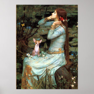 Chihuahua 1 - Ophelia Sitzplatz Poster