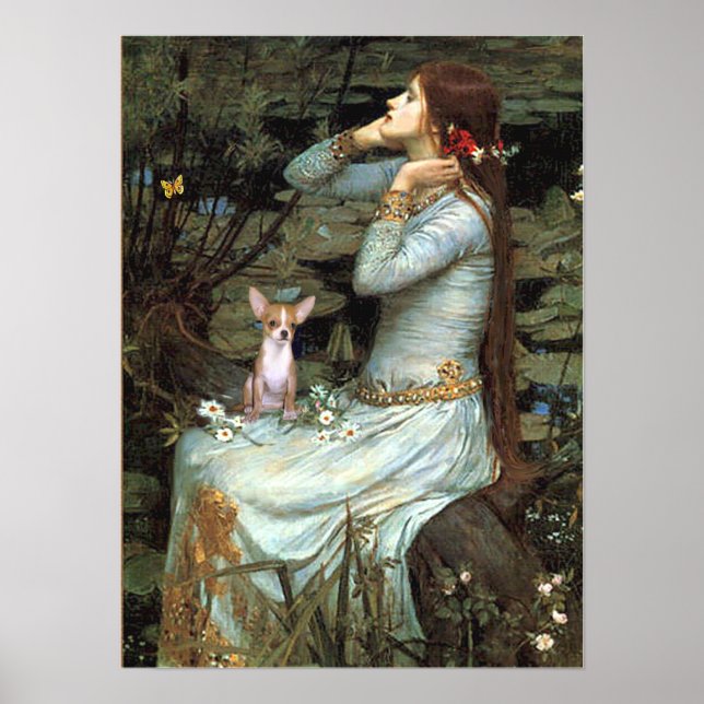 Chihuahua 1 - Ophelia Sitzplatz Poster (Vorne)