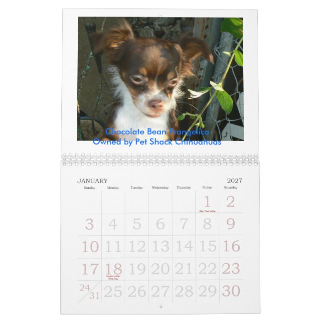Chihuahua 2011 Calander Kalender (Jan 2027)