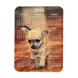 Chihuahua 2018 Calendar Foto Magnet 3x4 Klein