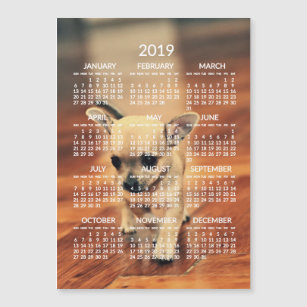 Chihuahua 2019 Kalender Foto Magnetkarte 12x18