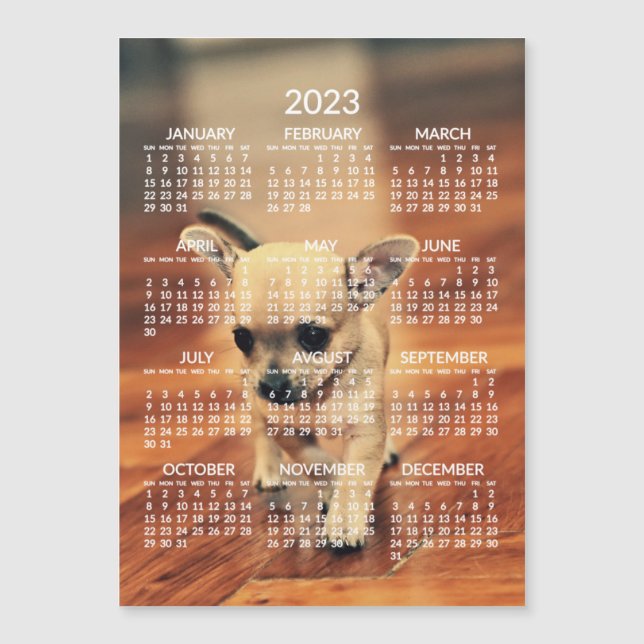 Chihuahua 2023 Kalender Foto Magnetkarte (Vorderseite)