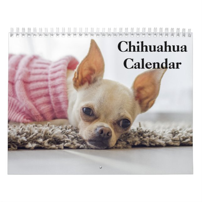 Chihuahua 2025 kalender (Titelbild)