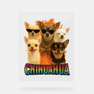 Chihuahua acrylschild