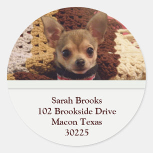 Chihuahua Address Labels Runder Aufkleber