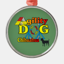Chihuahua-Agility