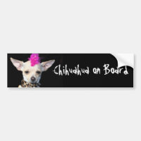 Chihuahua an Bord des Autoaufklebers