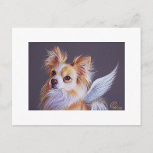 Chihuahua Angel Postkarte
