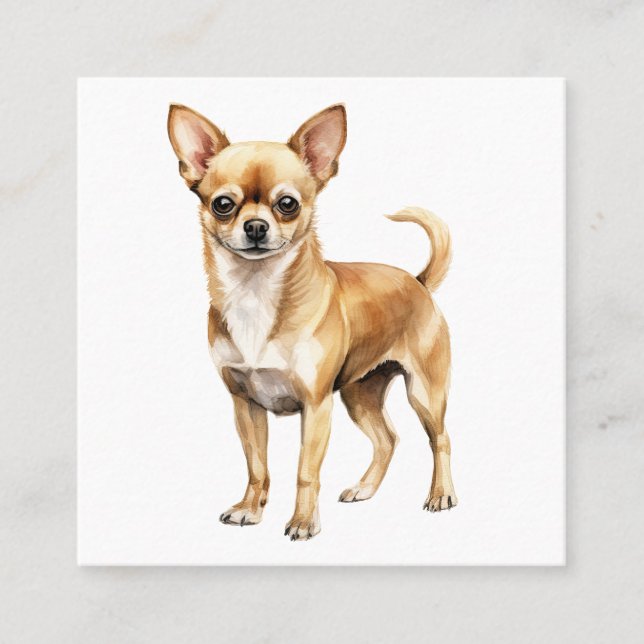 Chihuahua Aquarellmeißel Chihuahua Hund Quadratische Visitenkarte (Vorderseite)