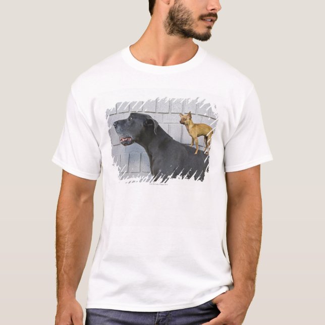 Chihuahua auf der Rückseite der Deutschen Dogge T-Shirt (Vorderseite)
