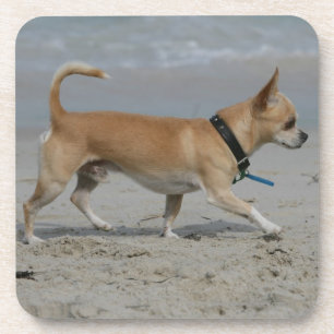 Chihuahua auf Strand Getränkeuntersetzer