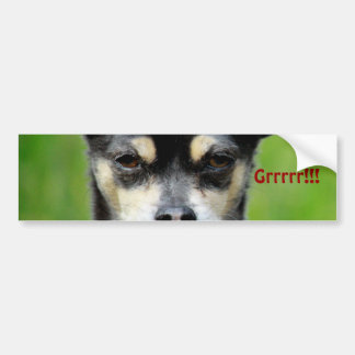 Chihuahua! Autoaufkleber