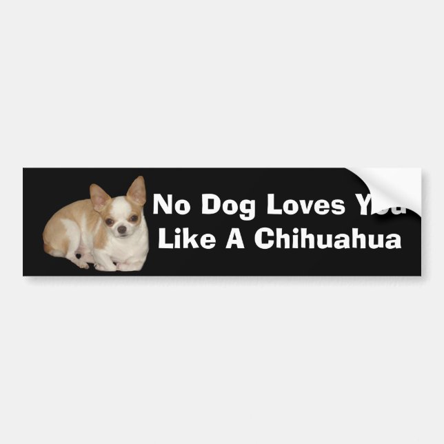 Chihuahua-Autoaufkleber Autoaufkleber (Vorne)