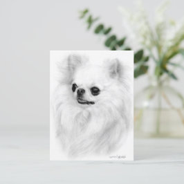 Chihuahua Beauty Painted by Hand Artwork Postkarte