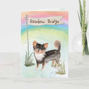 Chihuahua-Beileid über Regenbogen Karte
