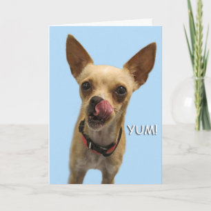 Chihuahua Birthday Card durch Fokus für eine Sache Karte