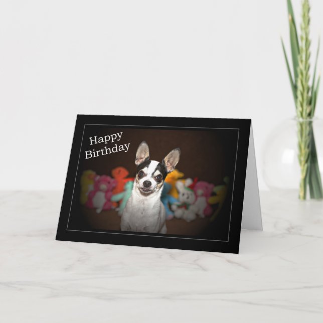 Chihuahua Birthday Card Karte (Vorderseite)