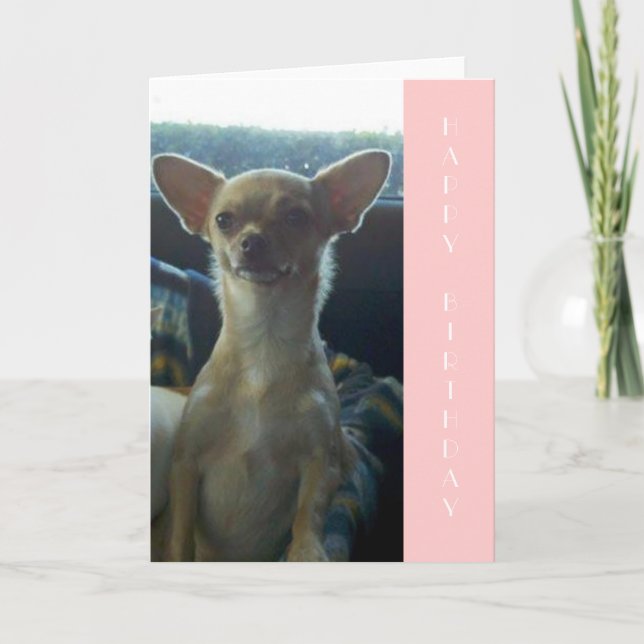 Chihuahua Birthday Card Karte (Vorderseite)
