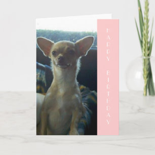 Chihuahua Birthday Card Karte