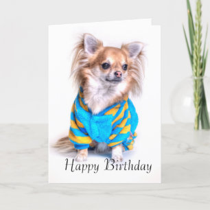 Chihuahua Birthday Card Karte