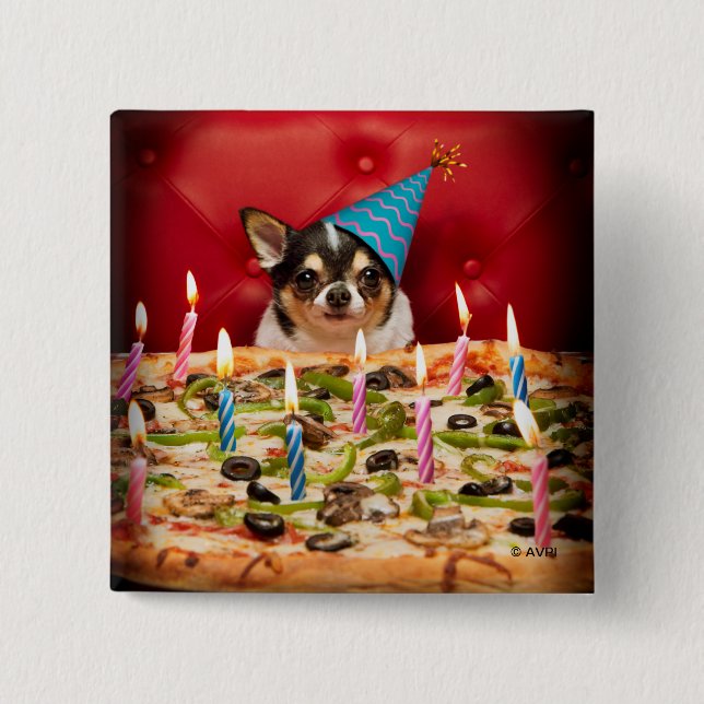 Chihuahua Birthday Pizza Pie Button (Vorderseite)
