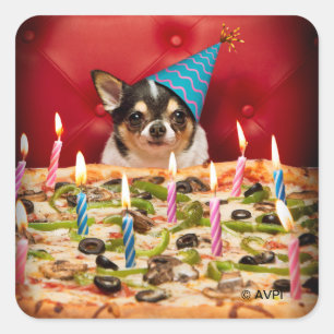 Chihuahua Birthday Pizza Pie Quadratischer Aufkleber