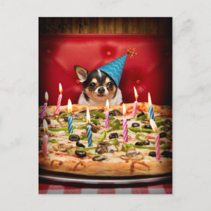 Chihuahua Birthday Pizza Pizza Einladungspostkarte