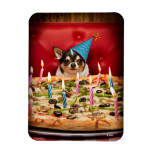 Chihuahua Birthday Pizza Pizza Magnet