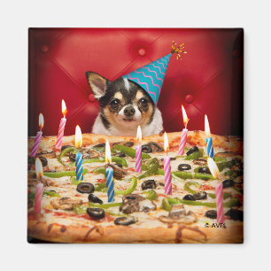 Chihuahua Birthday Pizza Pizza Magnet