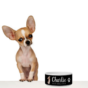 Chihuahua Bowl Napf
