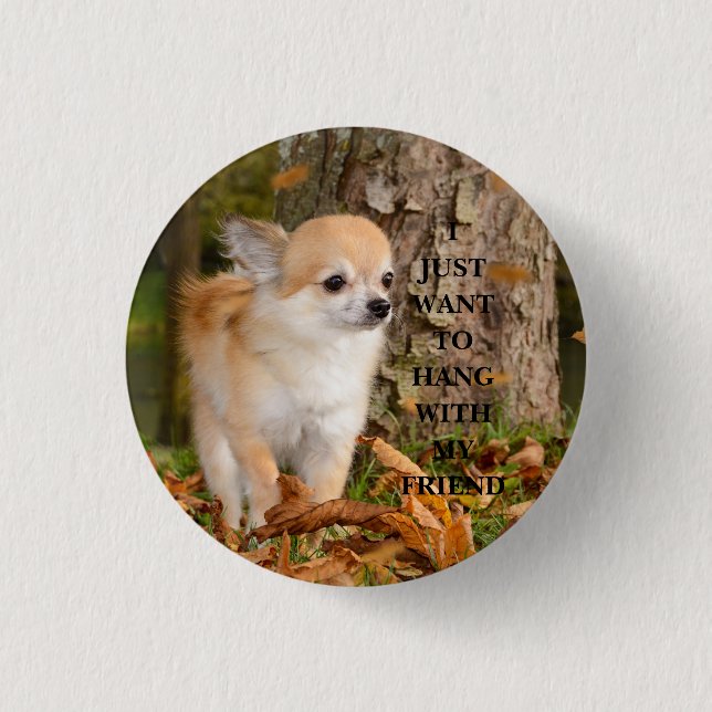 Chihuahua Button (Vorderseite)