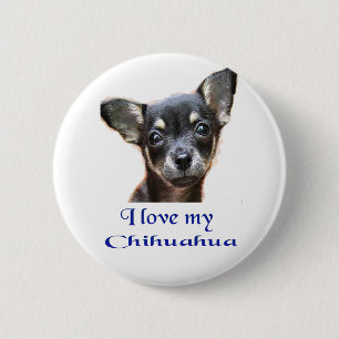 Chihuahua Button