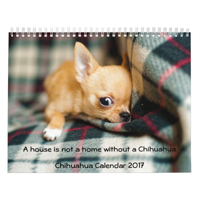 Chihuahua Calendar 2017 Foto House ist keine Zuhau Kalender (Titelbild)