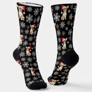 Chihuahua Chi Hund in Weihnachtsmannmütze Black Socken