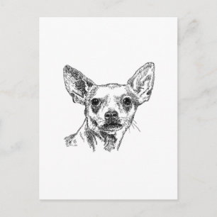 Chihuahua-Chiwawa-Hunde Postkarte
